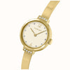 Radley Ladies Gold Tone Half Bangle With Champagne Dial Watch RY4658