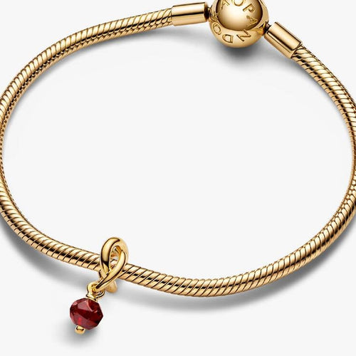 January Eternity Circle Dangle Charm