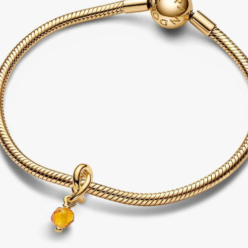 November Eternity Circle Dangle Charm