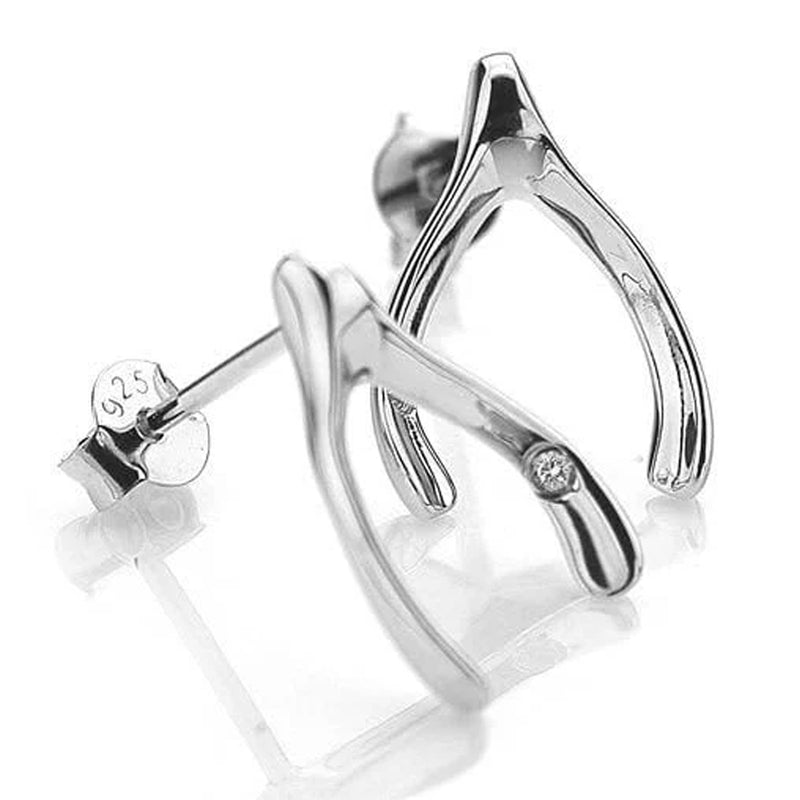 Hot Diamonds Sterling Silver Make a Wish Earrings DE413