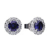 Diamonfire Silver Blue & Clear Cubic Zirconia Stud Earrings