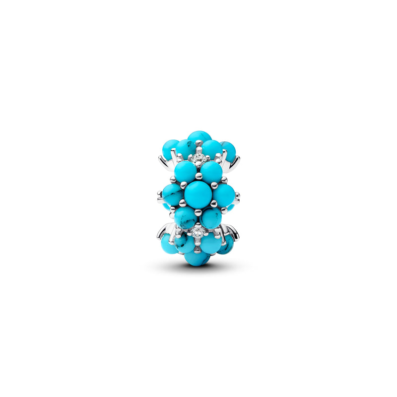 PANDORA CHARM