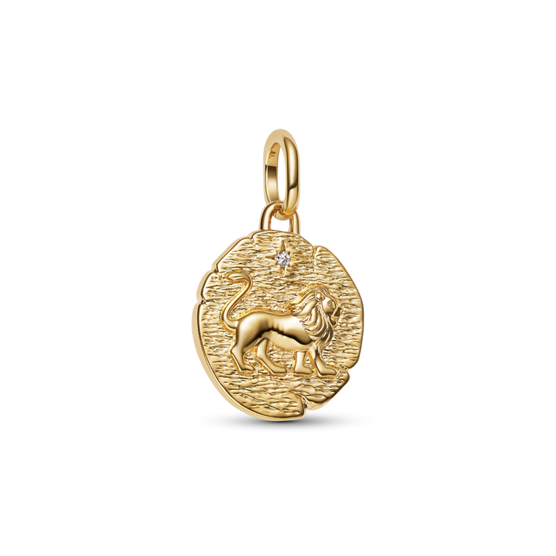 Lion Medallion Charm