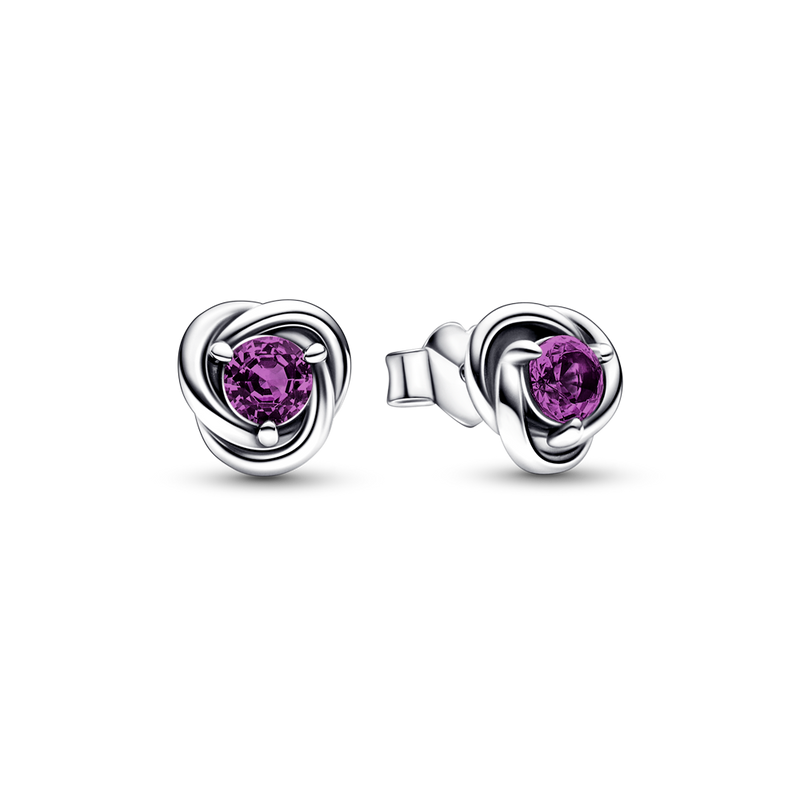 FEBRUARY BIRTHSTONE ETERNITY CIRCLE STUD EARRINGS