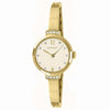 Radley Ladies Gold Tone Half Bangle With Champagne Dial Watch RY4658