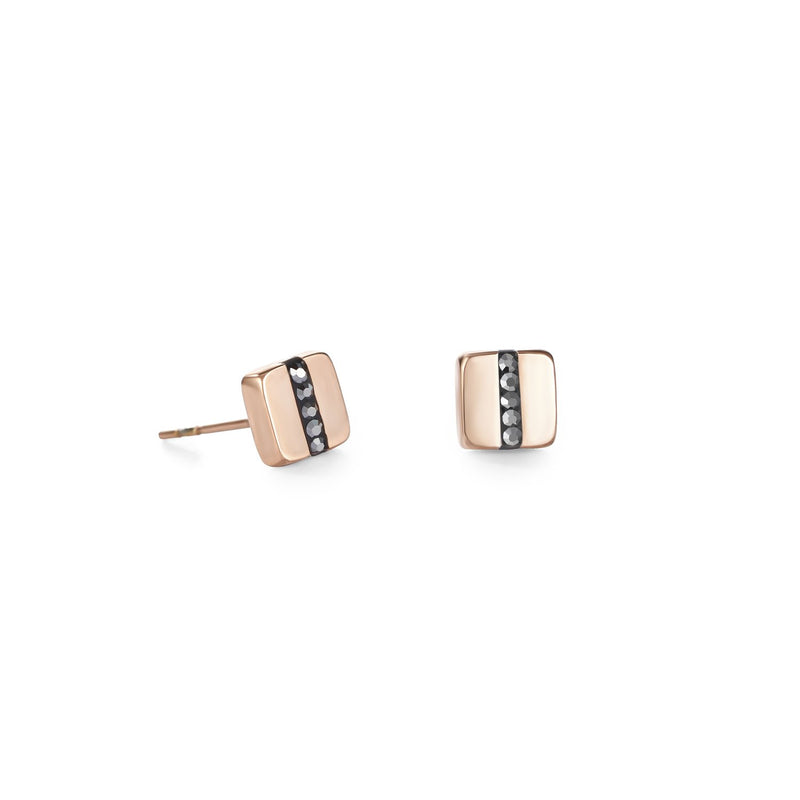 Coeur De lion Earrings with stickpin. (0225/21-1223)