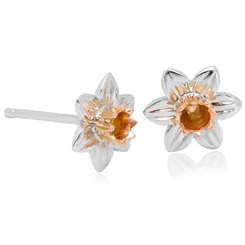 Clogau SDSE.jpg